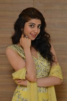 Pranitha at Hello Guru Prema Kosame Movie Success Meet
